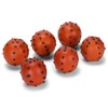 Raz Imports Pomanders - Set of 6 (4002263)