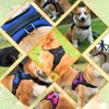 Musonic No Pull Dog Harness, Breathable Adjustable Comfort, Free Leash