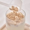 Mammake 비건 단백질 미숫가루 스파우트 파우치 40g 5개 Vegan Protein