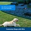 PetSafe Pawz Away Outdoor Wireless Pet Barrier, Electric Training System