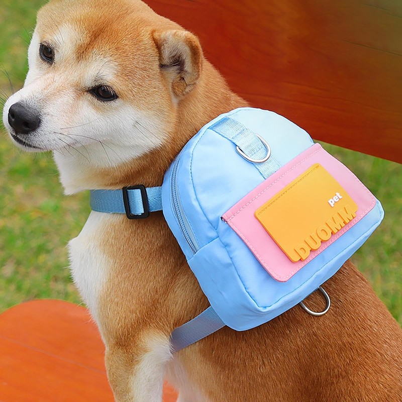 Backpack for Dogs | Small Dog Backpack - Puppy School