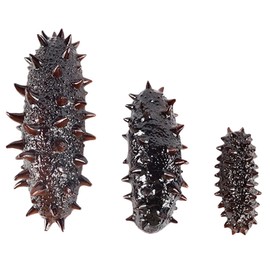 KICHOUSE 3pcs Lifelike Artificial Sea Cucumber Models Display Props Fun Educational for Restaurant Decor Photo Shoots