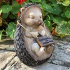 Heather Hedgehog Resin Garden Ornament