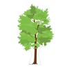 Advanced Graphics Tree Life Size Cardboard Cutout Standup