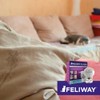 Feliway Classic Starter Set
