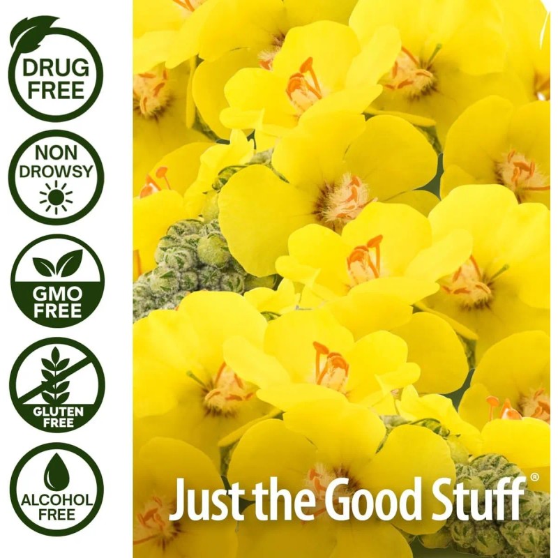 Nature's Answer Mullein X Kids Jarabe Para La Tos 120ml