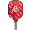 Parrot Paddle Carbon Fiber Pickleball Paddle with Honeycomb Core