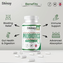 Probiotic & Prebiotic Complex | 77 Billion CFU Per Serving | 20 Live Bio Culture Strains | 60 Vegan Capsules - 1 Month Supply | Multi-Strain Gut-Friendly Bacteria Supplement | UK Made - Shivay Herbals