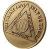 3 Year AA Medallion Premium Bronze Sobriety Chip Serenity Prayer