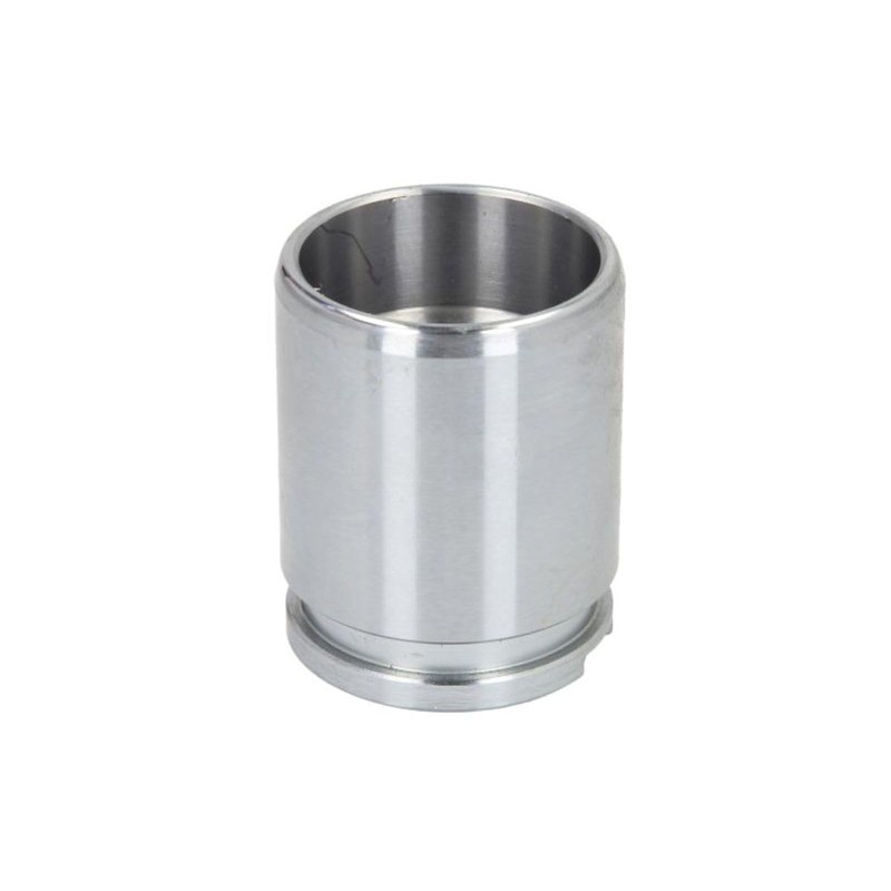 Autofren Seinsa D02593 Brake Caliper Piston
