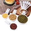 Measuring Cup Set - Simply Modern Professional 10-pc PP Measuring