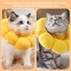 M, Lick Protection Cat, Collar, Cat, Collar, Cats, Collars for