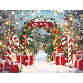 Rieetmk Christmas Backdrop - Winter Snow Scene with Candy Canes Photography Background for Xmas Party Booth Studio Decor Banner - North Pole Aurora Forest Wooden Soft Polyester Fabric(10x8ft)