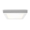 ECONOMY AR18225NW LED Panel Square with 18 W Power Assembly