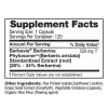 Feel Good Superfoods Berberine Phytosome High Absorption 120 Vegan Capsules
