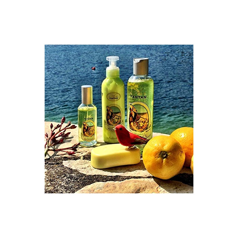 Loción Corporal Francesa PROVENCE, Verbena, Bergamota y Limón - 200ml