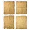 Champion 3000 DD; Essick N31D Aspen Evaporative Swamp Cooler Pads