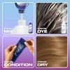 Clairol Nice'n Easy Tone+Gloss Semi Permanent Hair Dye - 811/73
