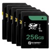 Synergy Digital 256GB Secure Digital SDXC UHS-I Memory Cards, Compatible