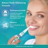 Guru Nanda Gel Pen Blanqueador 1 Unidad 5ml Para 20
