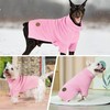 cyeollo Small Dog Sweater with Leash Hole Warm Turtleneck Knitwear