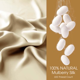 WLOSJ 100% Silk Pillowcase for Hair and Skin Toddler Size 2 Pack Mulberry Silk Pillow Case 13 x 18 Inches Highest 6A Silk Kids/Travel Pillow Cover Soft Breathable Cooling with Hidden Zipper, Champagne