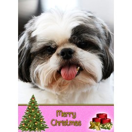 Shih Tzu Dog Christmas Card 'Merry Christmas' - Special Animal Xmas Card for Him Her from Pets Kids