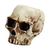 Skull Head Flower Pot Resin High Strength Clear Shape Skull