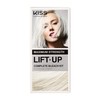 KISS Lift Up Complete Hair Bleach & Icy Silver Toner