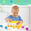 Wisplye Matching Eggs Toy Children, Pack of 12 Montessori Puzzle