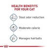 ROYAL CANIN, Indoor Adult, Croquetas para Gato, 1.36kg