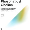 Thorne Research - Phosphatidyl Choline - Phospholipid Complex for Cell