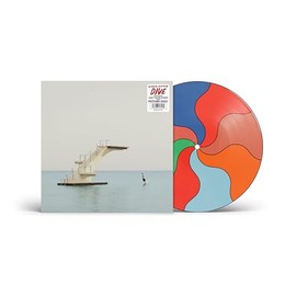 DIVE[Picture Disc LP] [Vinyl LP]