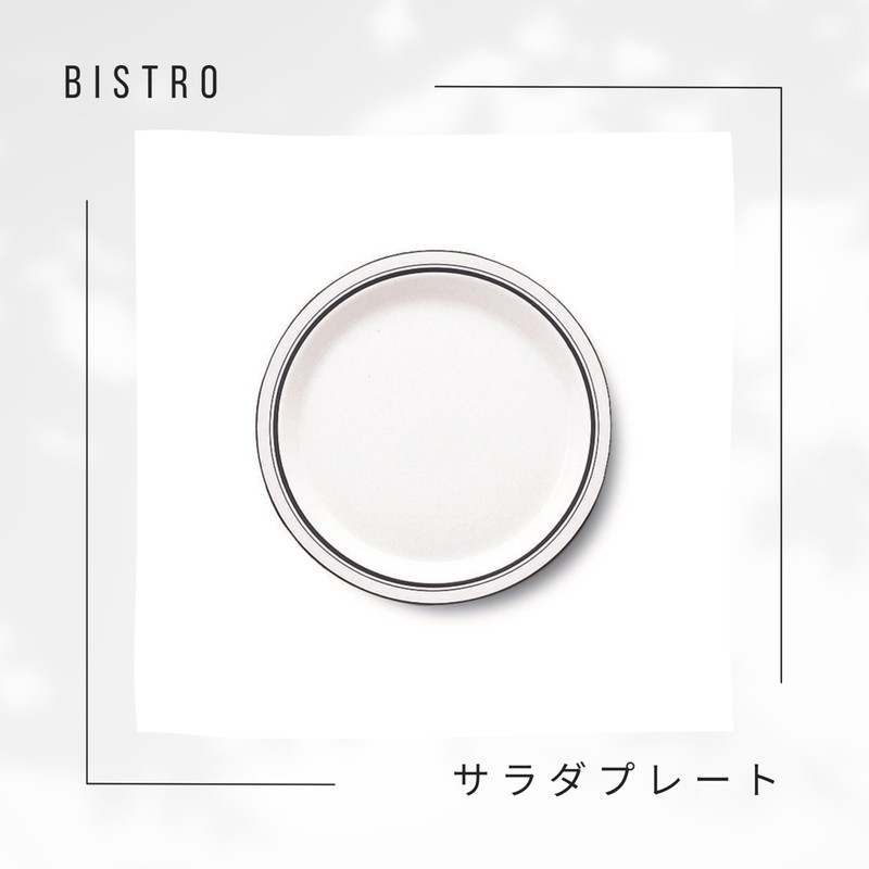DANSR DANSK Bistro Salad Plate, 8.9 inches (22.5 cm), Microwave,