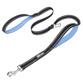 PoyPet - Correa para perro de 5 pies, reflectante, 3 m, 2 asas acolchadas, cinturón de seguridad funcional para coche (azul claro)
