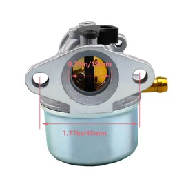 BenTsD Compatible with 799868 Carburetor for Briggs & Stratton 497586 498254 790821 498255 799868 498170 497410 + 491588s Air Filter+Spark Plug