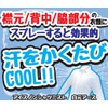  Ice-non Shirt Mist, 3.4 fl oz (100 ml), ,