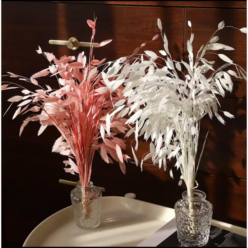 Dried River Oats, Dried Chasmanthium latifolium, Northern Sea Oats，for Wedding,