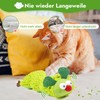 Binlava Cat Toy, Catnip Toy, Cat Cushion, Interactive Cat Toy,