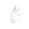 Grohe Euphoria 26513000 110 Massage Shower and Shower System Hand