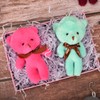 Jomnvo 10 Pieces 10 Colors Small Teddy Bear Doll with
