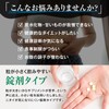 業界最高水準量 イヌリン 65,500mg 水溶性 食物繊維 大容量 300粒 国内製造 ナットウキナーゼ 菊芋