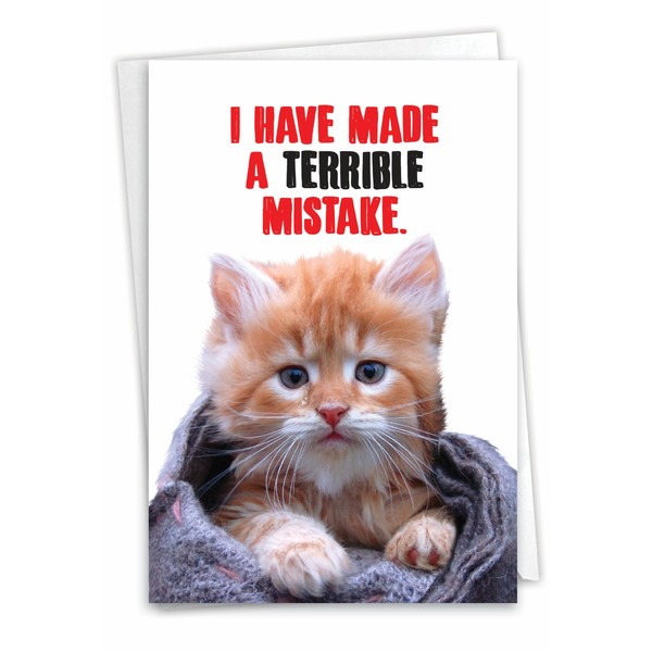 NobleWorks Hilarious Sorry Greeting Card with 5 x 7 Inch Envelope (1 Card) Cat Terrible Mistake C8149SRG