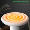 Simple Deluxe 100W 2-Pack Ceramic Heat Lamp Reptile Heat Emitter