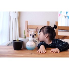 OXIDER Chlorine Dioxide Gel Agent (11.5 oz (320 g) (approx. 3 months for up to 20 tatami mats))