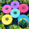 Waka Medaka Egg Spawning Float, Set of 6, Floats in