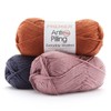 Premier Yarns Anti-Pilling Everyday Worsted Yarn, Soft Acrylic, Ideal for