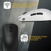 ENDGAME GEAR OP1we Gaming Mouse Wireless White EGG-OP1WE-WHT