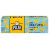 Polar Seltzer Water Lemon 100% Natural Sparkling Soda Beverage Soft