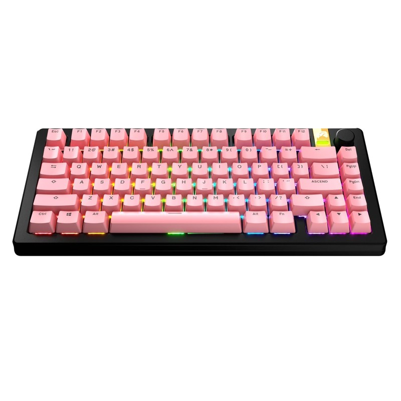 Glorious Gaming - GPBT Basics (PBT Keycaps), Potion Pink, No